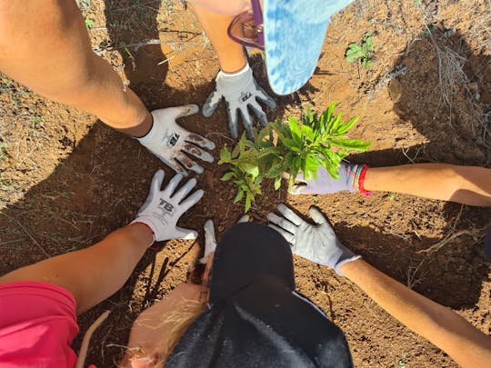 Excursion axée sur l'écologie à Gran Canaria, avec visite de la forêt TUI et déjeuner