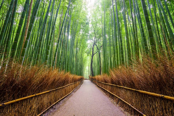 Geführte kulinarische Tour durch Arashiyama und Sagano in Kyoto