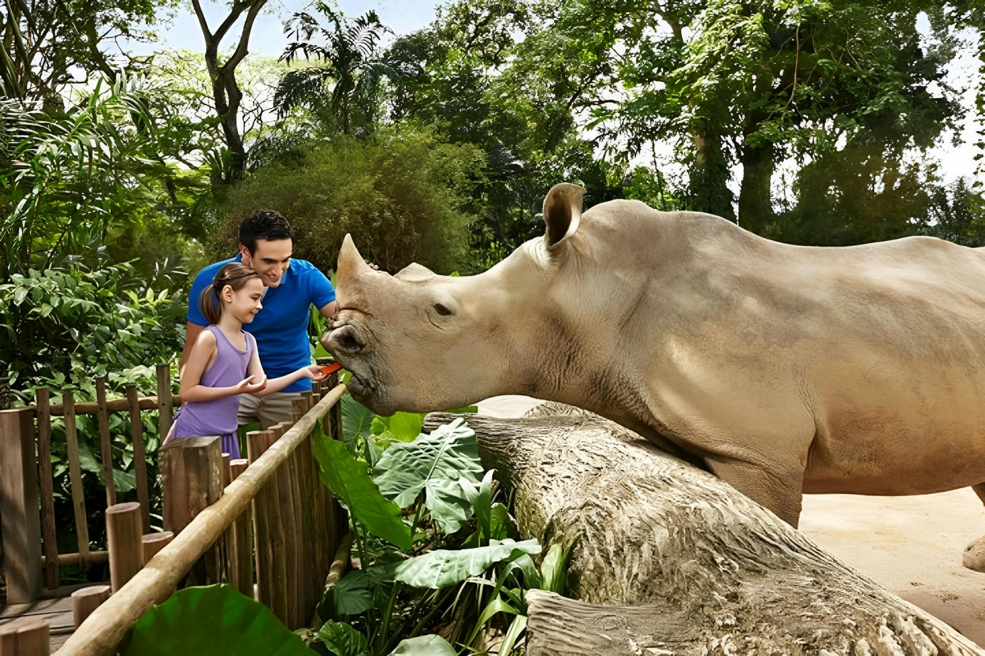 Day Safari With Singapore Zoo And River Wonders Combo