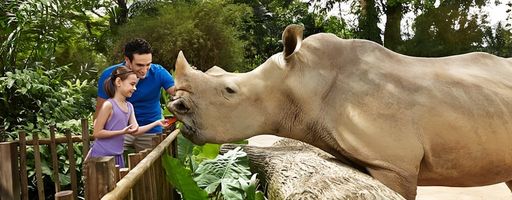 Safari di un giorno con lo zoo di Singapore e le meraviglie del fiume