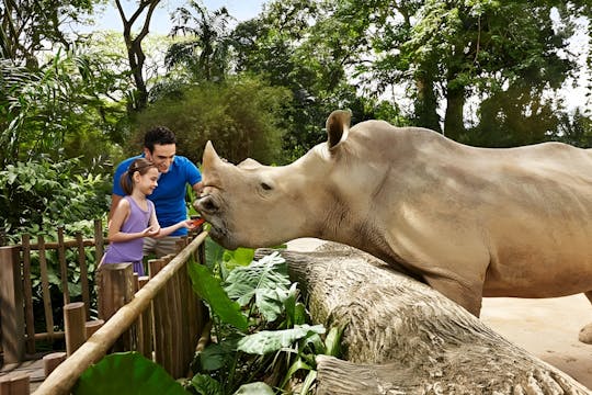Safari diurno com combinação de zoológico de Cingapura e maravilhas do rio