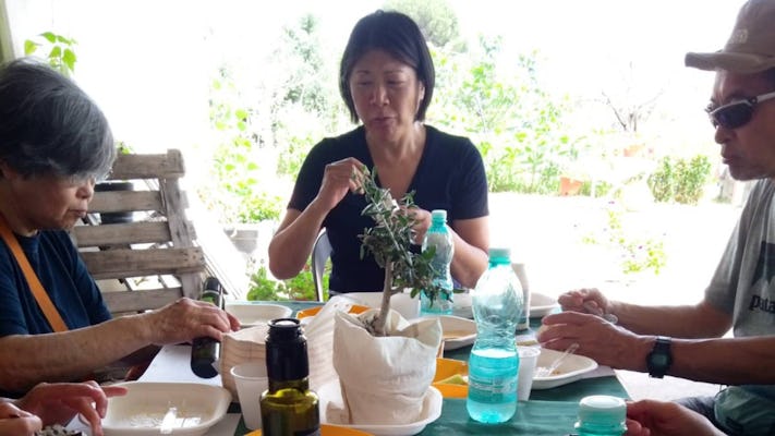 Visita a um lagar de azeite com degustação de azeite em Nuoro