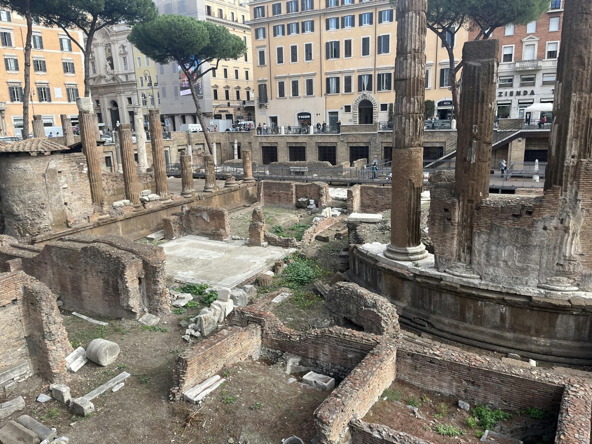 Archaeological Area Largo Argentina Skip-The-Line Tickets