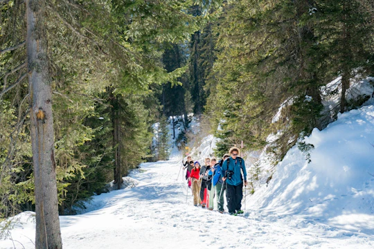 Interlaken snowshoe and sledding tour with cheese fondue