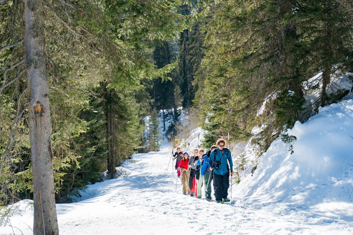 Sneeuwschoen- en slee-tocht in Interlaken met kaasfondue