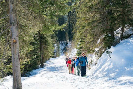 Alpines Winterabenteuer in Isenfluh mit Mittagessen