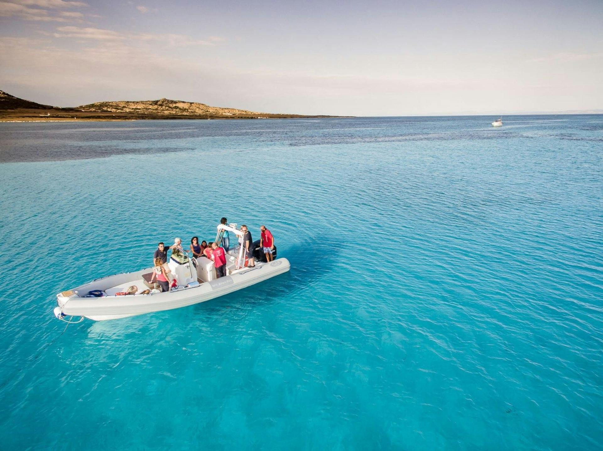 Halbtägige Schlauchboottour im Golf von Asinara ab Stintino