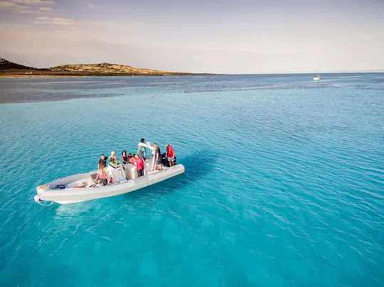 Half-Day Dinghy Tour in Asinara Gulf from Stintino