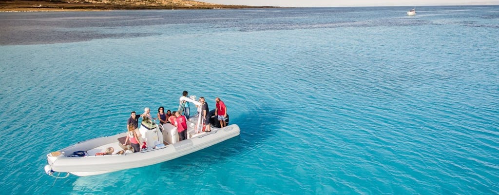 Halbtägige Schlauchboottour im Golf von Asinara ab Stintino