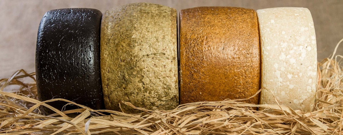 Visit to a Local CheeseMaking Company with in Dolianova musement