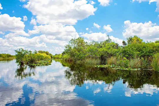 Excursion dans les Everglades au départ de Miami