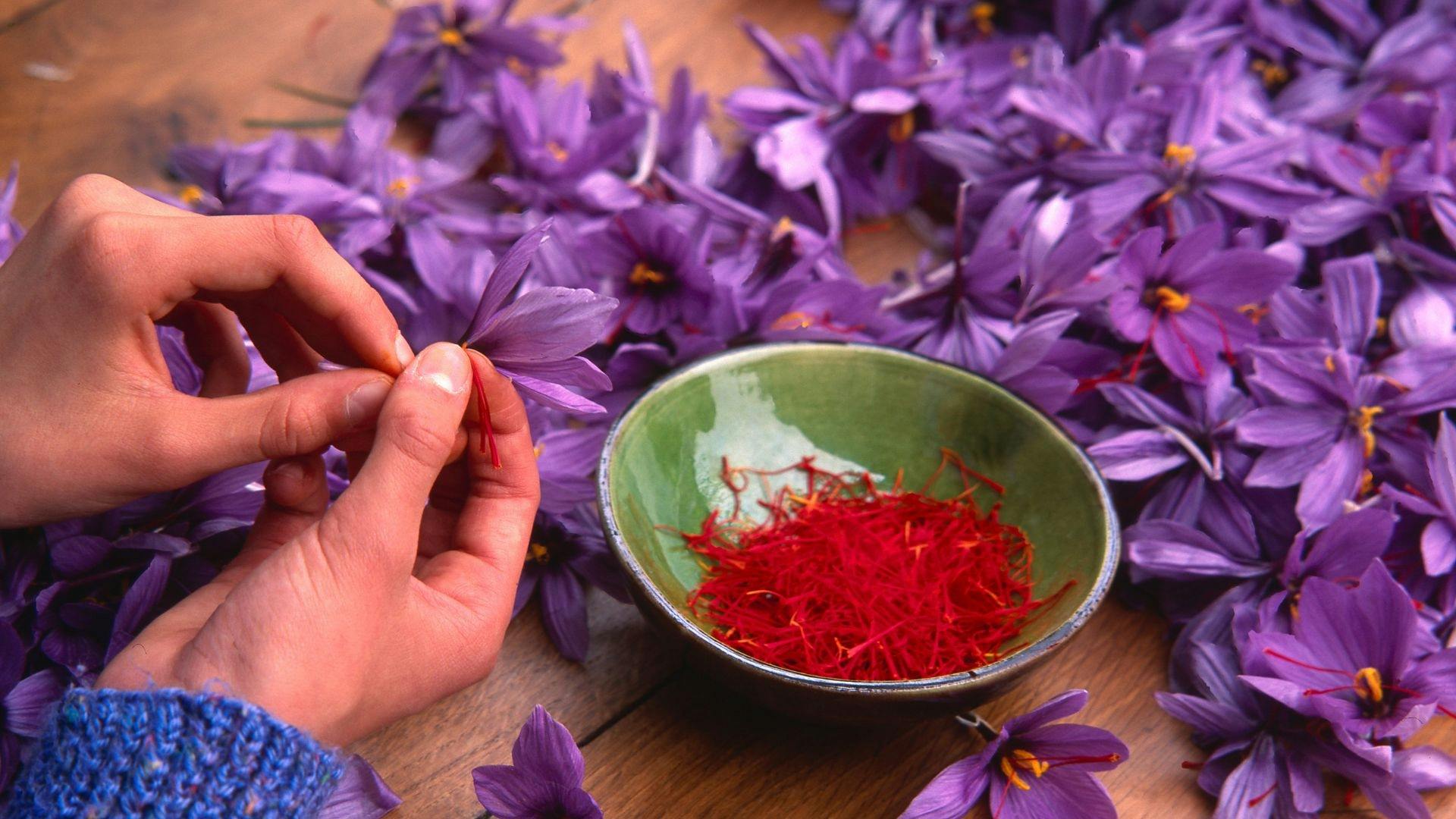 Guided Tour of a Saffron Laboratory with Tasting in Olmedo