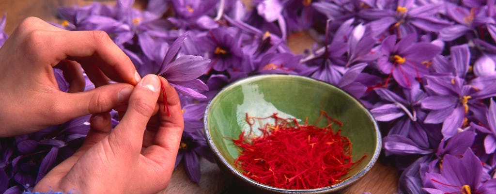 Guided Tour of a Saffron Laboratory with Tasting in Olmedo