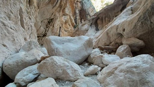 20231201656a010e66a9c.jpg