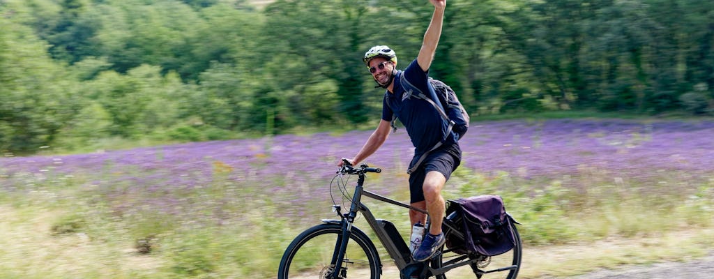 Hele dag e-biketour in Luberon vanuit Avignon