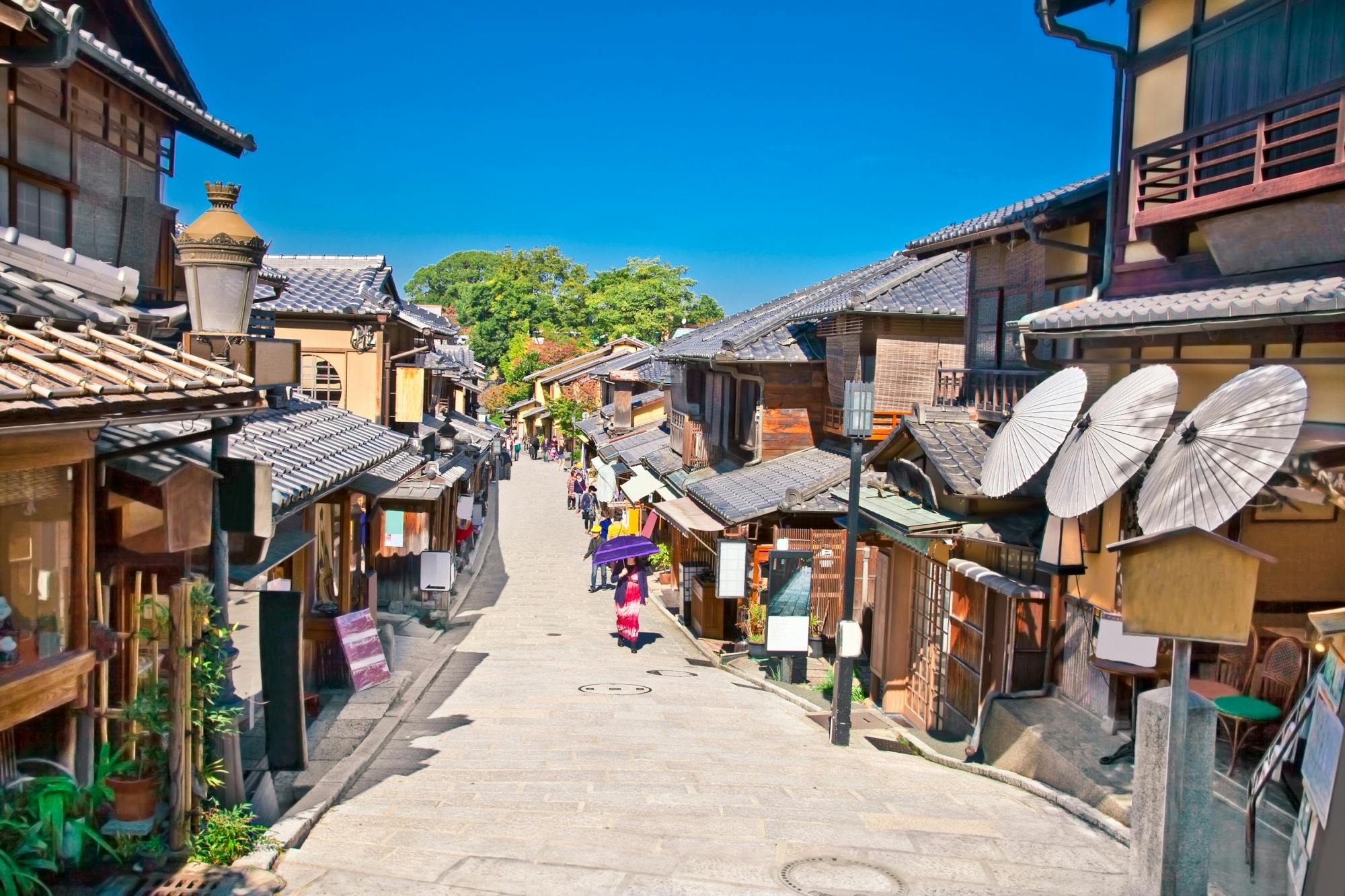 Kyoto-wandeltocht en winkelen op de Nishiki-markt