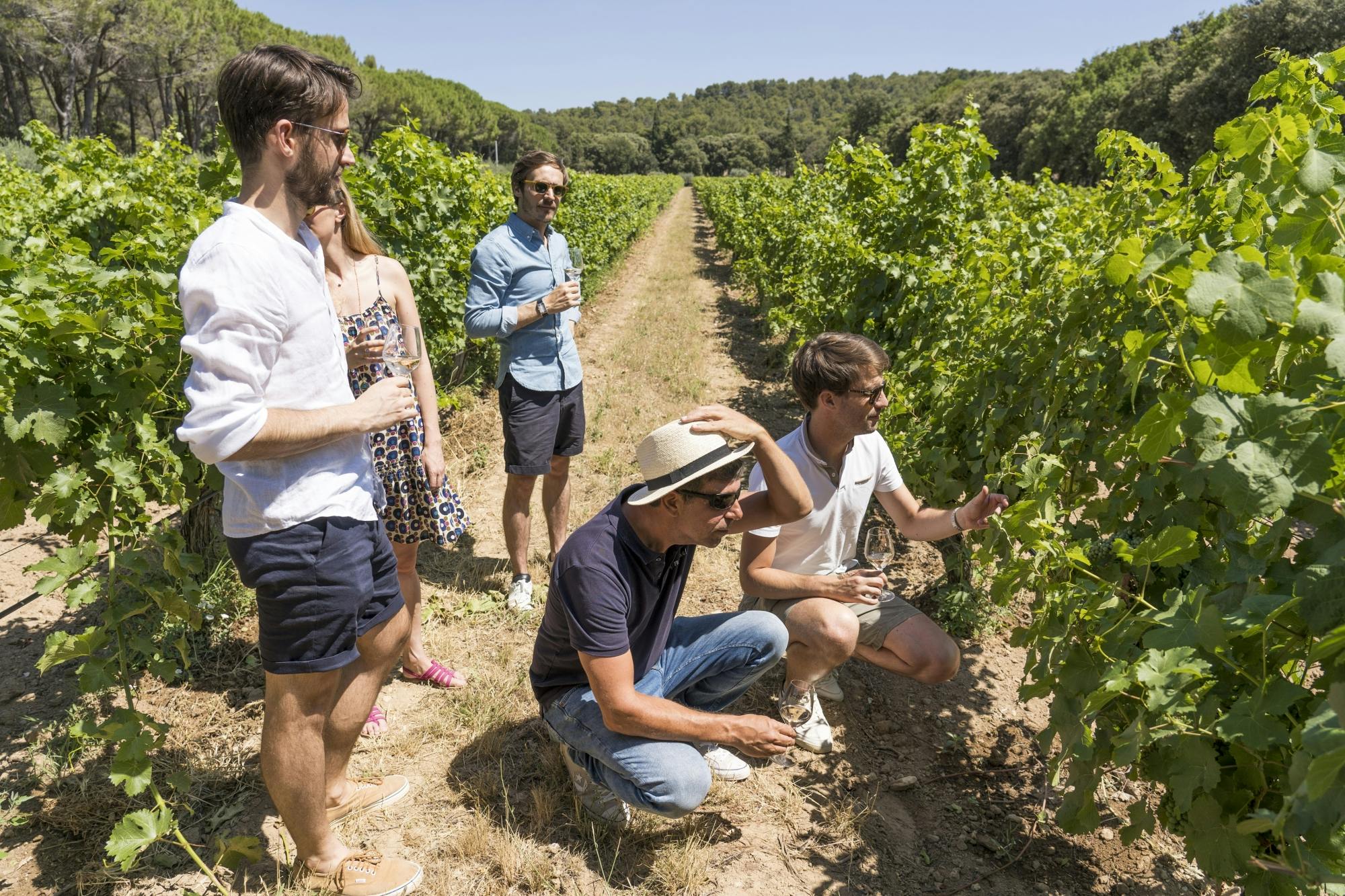 Tour guiado de vino de día completo por Aviñón y Chateauneuf-du-Pape