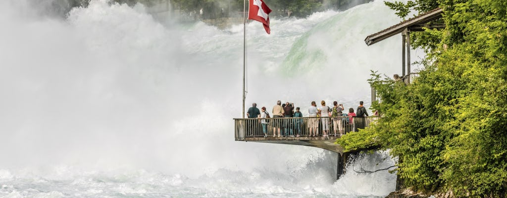 Pacchetto super risparmio - Cascate del Reno e città di Zurigo