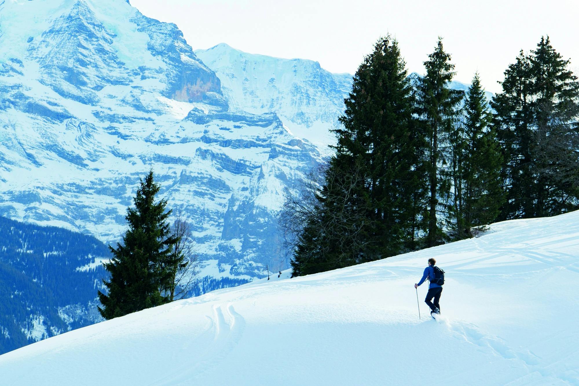 Sneeuwschoentocht in Isenfluh