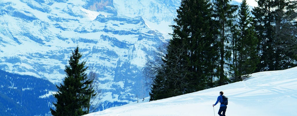 Snowshoe Tour in the Swiss Alps