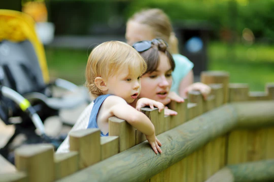 Warsaw Zoo Mobile Self-Guided Tour