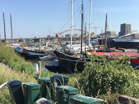 Passeio de bicicleta para NDSM Wharf e Noorderpark com passeio de balsa