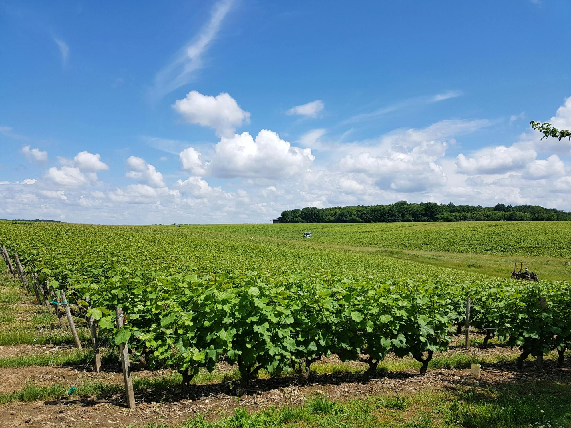 Día en el Valle del Loira desde Tours con visita a Azay le Rideau y Villandry