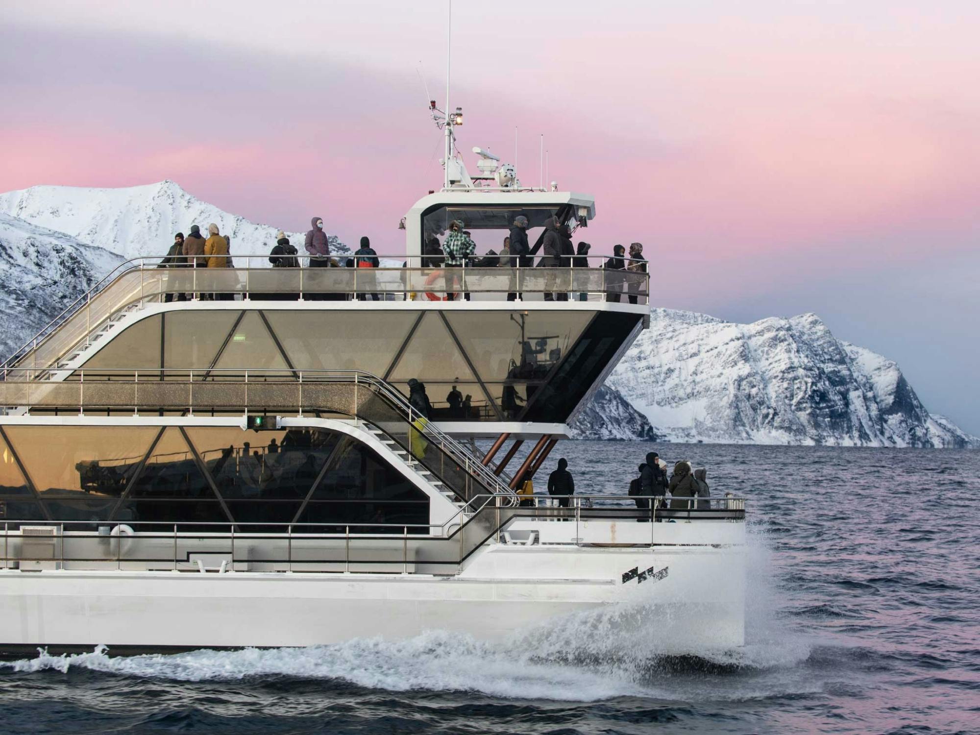 Crucero por el fiordo de Tromsø y la vida silvestre