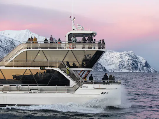 Tromsø fjord and wildlife cruise