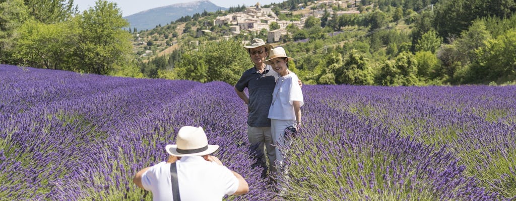 Middagtour naar lavendelvelden vanuit Aix en Provence