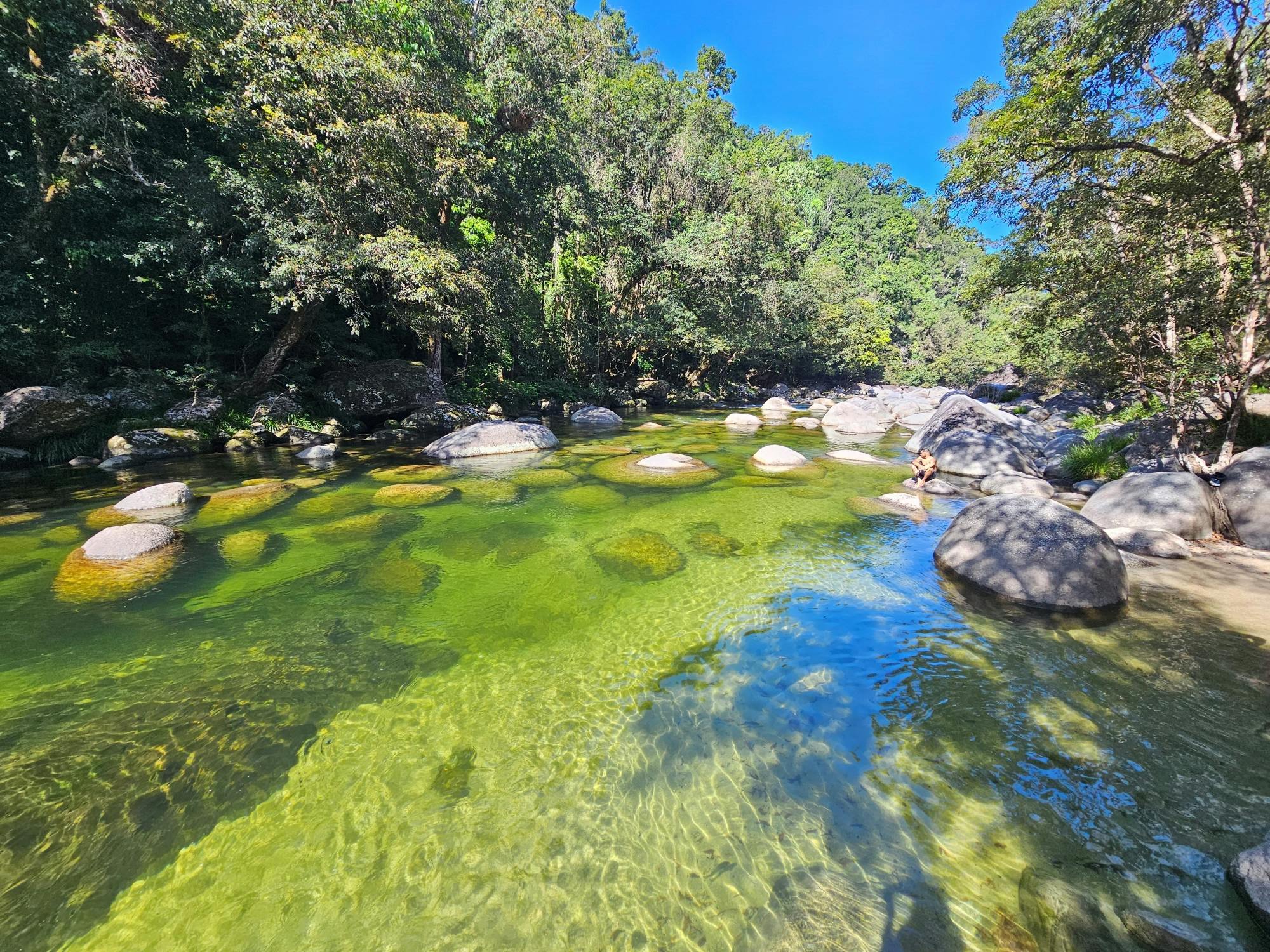 Mossman Gorge, Daintree Rainforest Walk und Strandtagestour