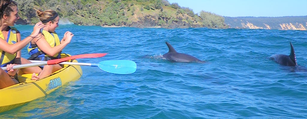Caiaque no mar com vista para o golfinho Noosa e passeio de aventura 4X4 na praia