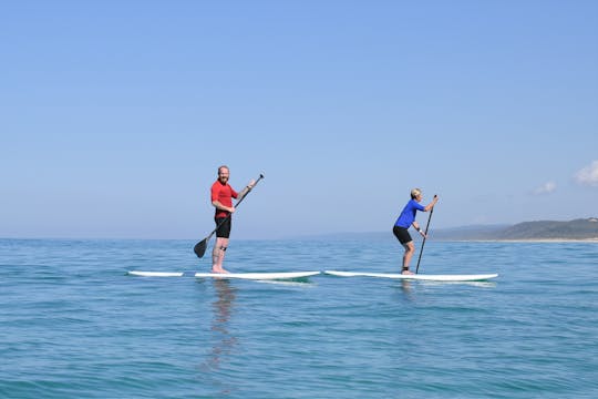 Stand Up paddle wildlife tour and beach 4x4 Noosa day trip