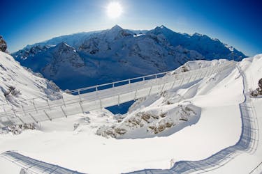 Gita di mezza giornata alla neve eterna e al ghiacciaio del Monte Titlis da Lucerna