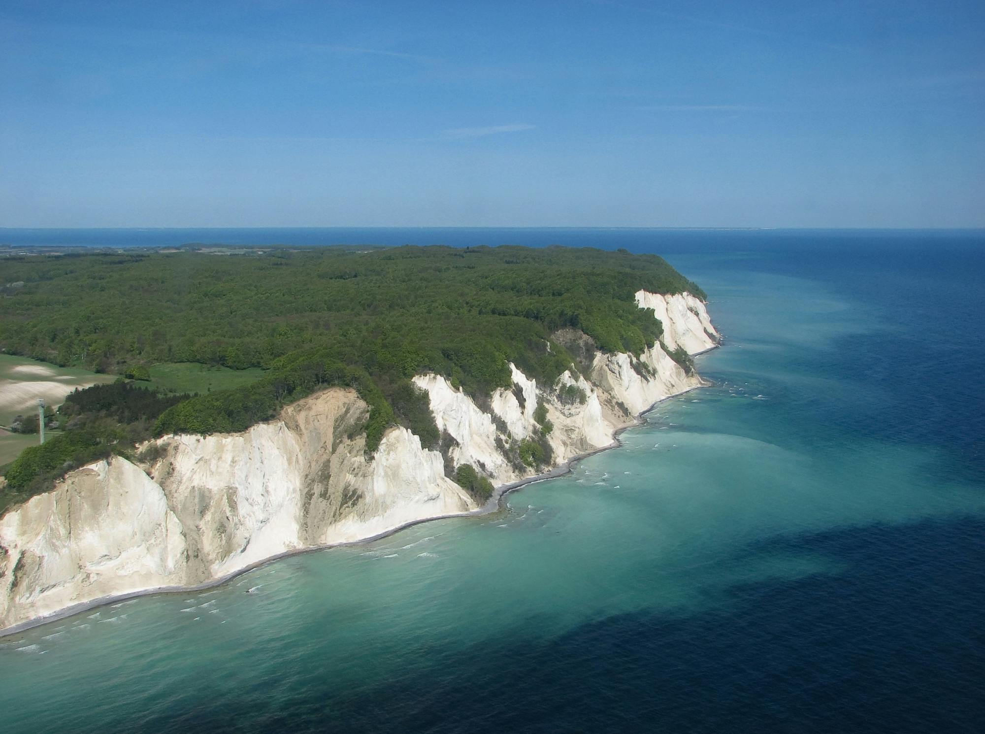 Full-day tour to Møns Klint and The Forest tower from Copenhagen Musement