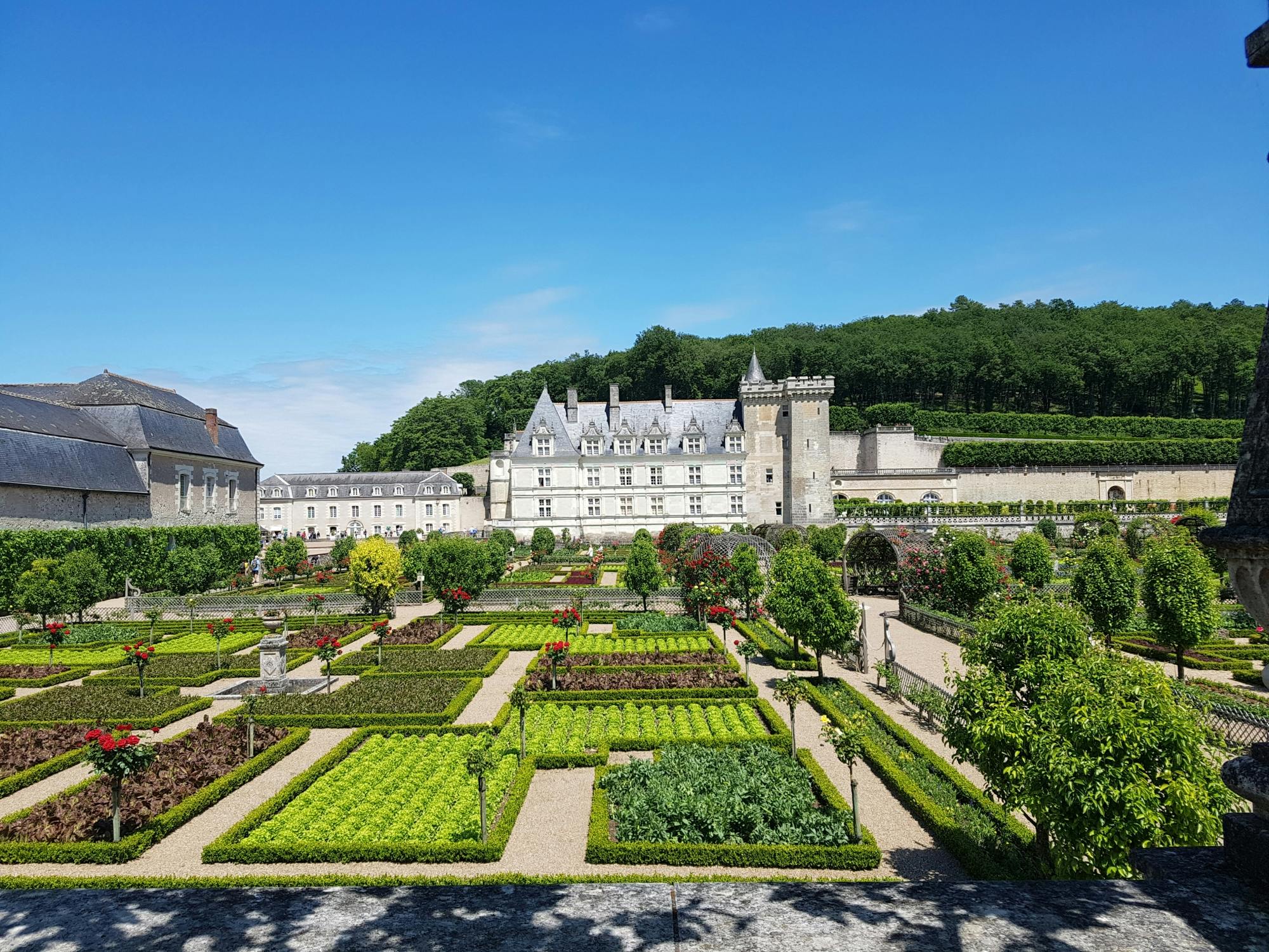 Visita guiada a los castillos de Villandry y Azay-le-Rideau desde Tours