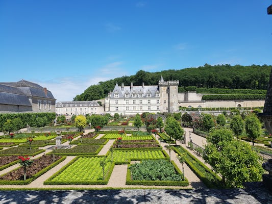 Visita guidata ai castelli di Villandry e Azay-le-Rideau da Tours