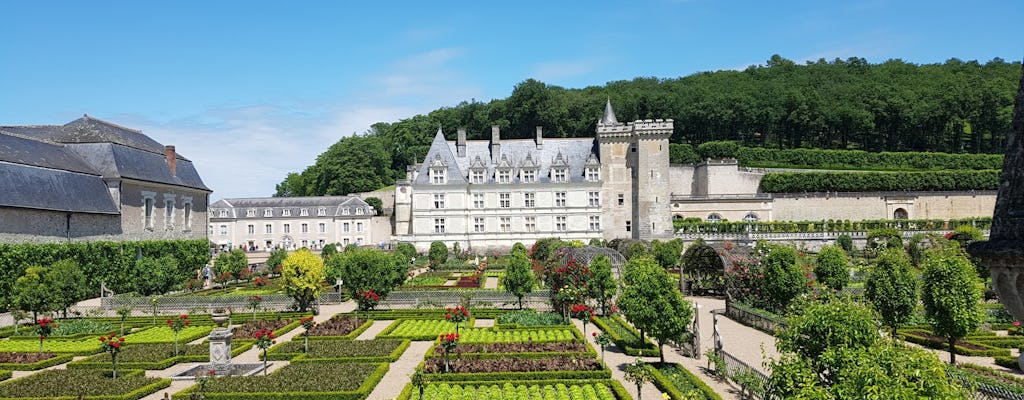 Visita guiada aos castelos Villandry e Azay-le-Rideau saindo de Tours