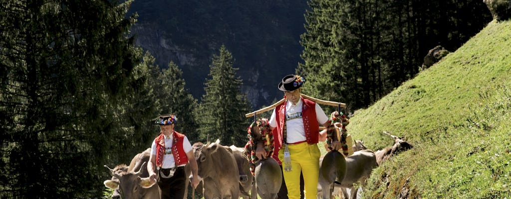 Escursione in montagna con formaggio e cioccolato