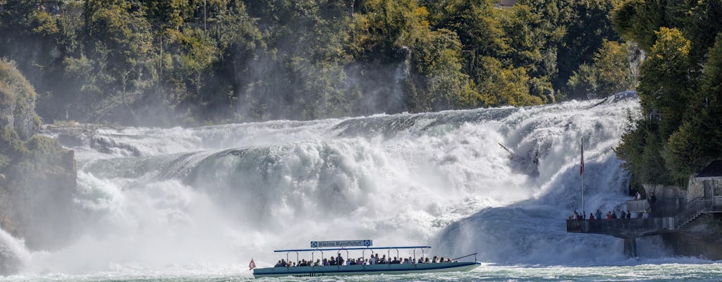 Halve dagtour Rijnwatervallen vanuit Zürich