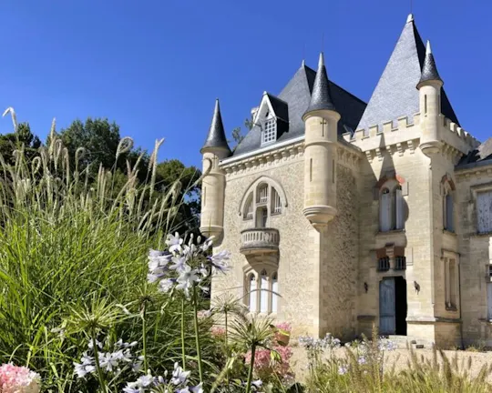 Excursión matinal a Saint-Emilion