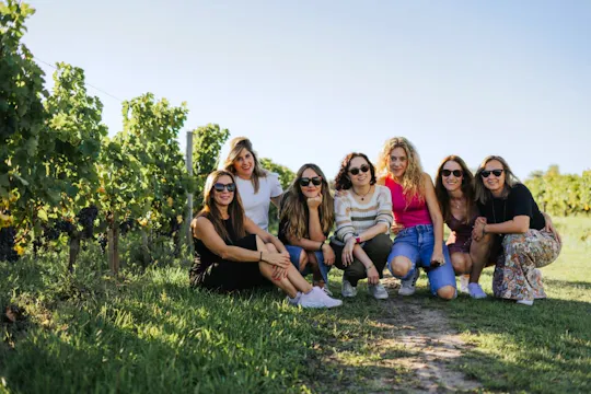 Visite des vignobles de Saint-Émilion l'après-midi