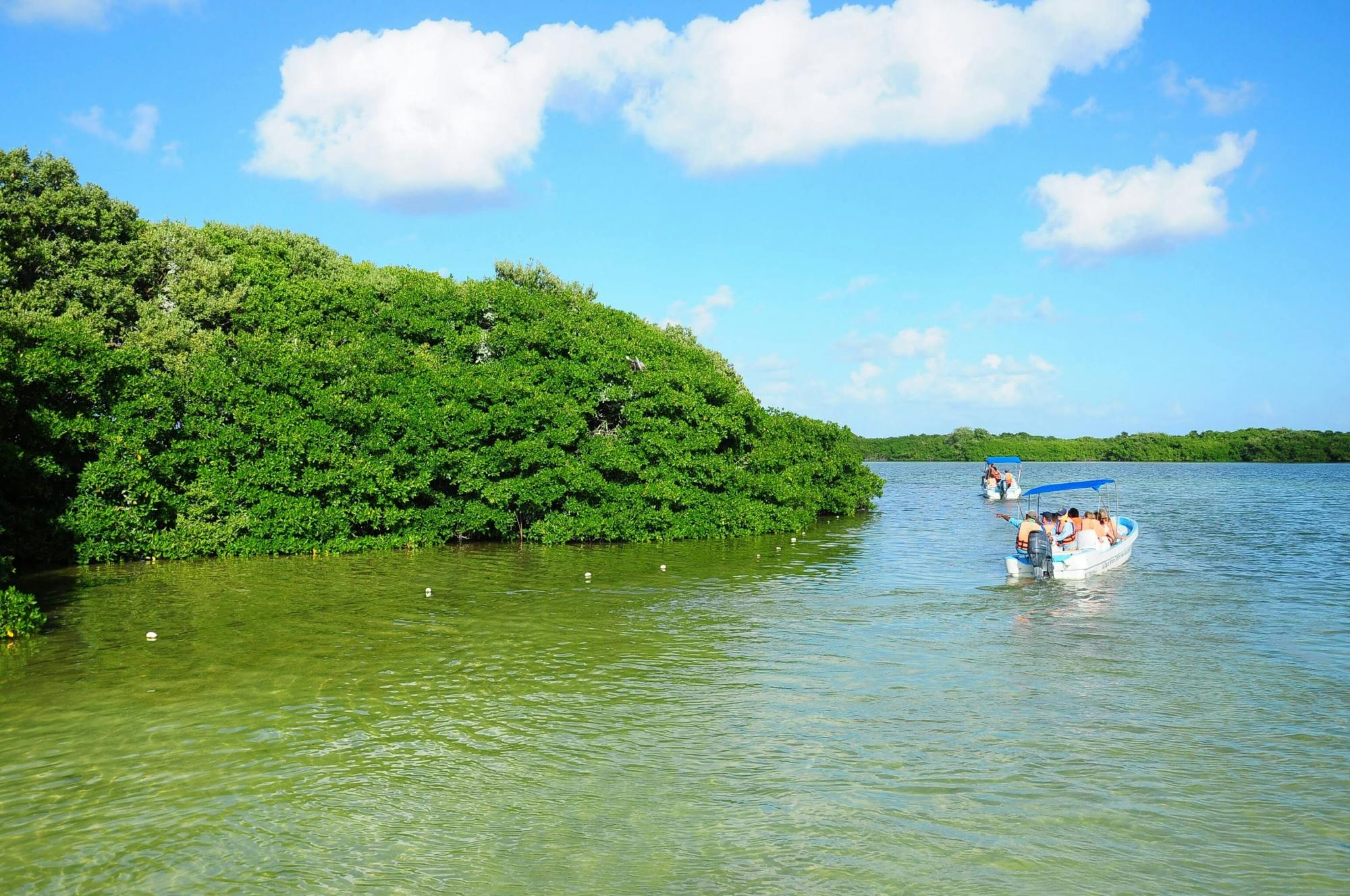 Safari et excursion en bateau à Sian Ka'an