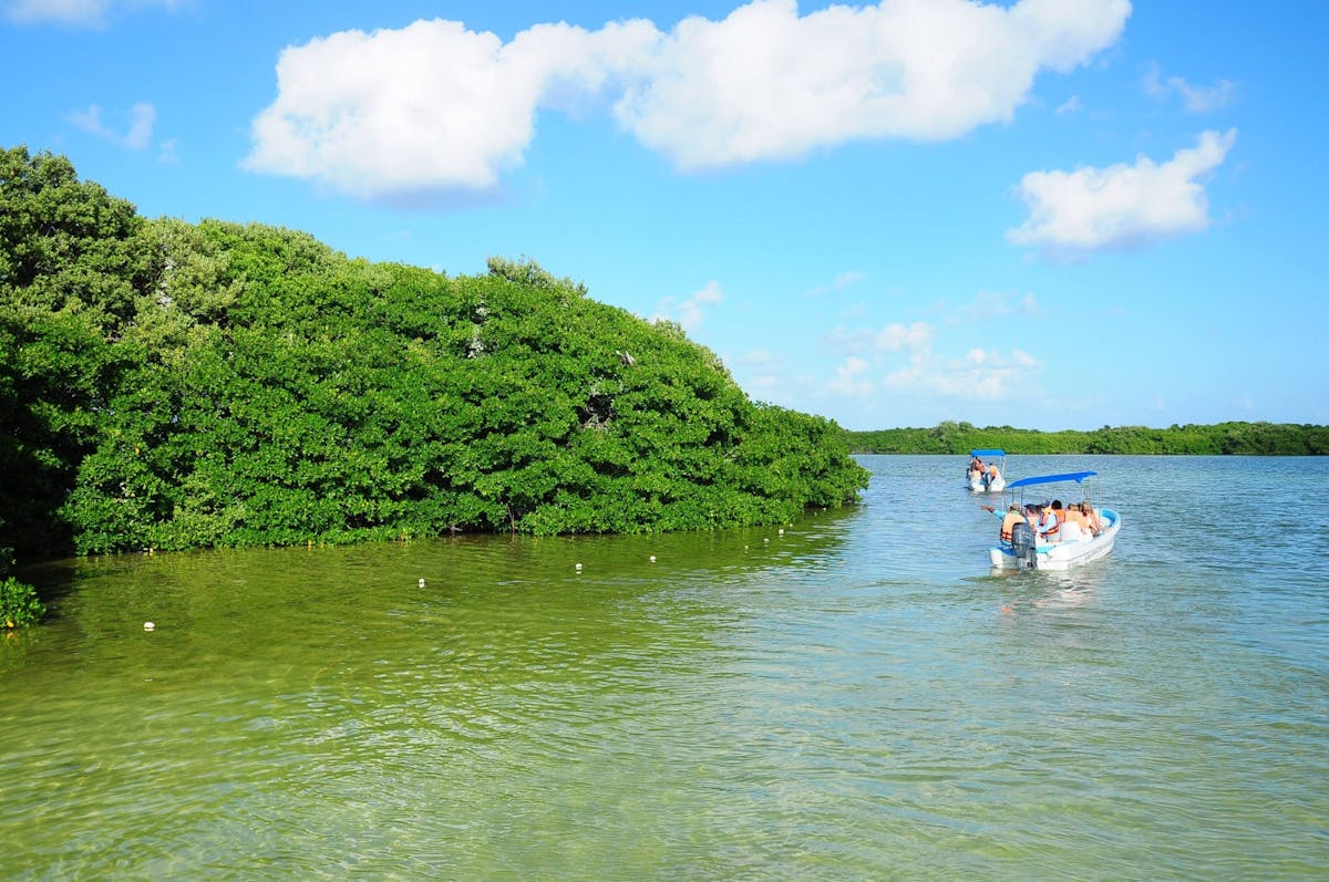 Tour safari e gita in barca a Sian Ka'an