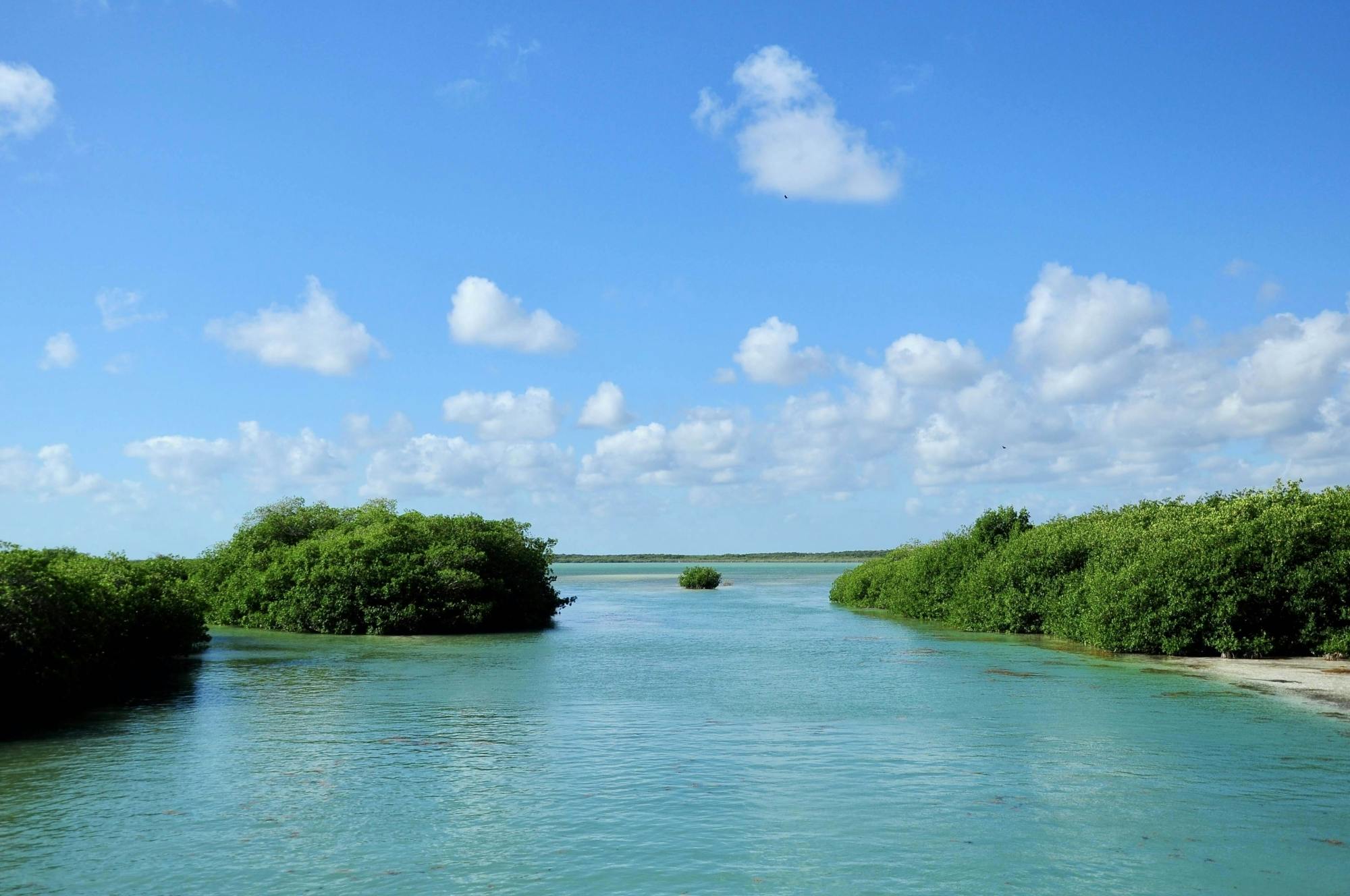 Sian Ka'an Safari Tour and Boat Trip