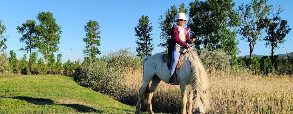 Balade à cheval à Tbilissi