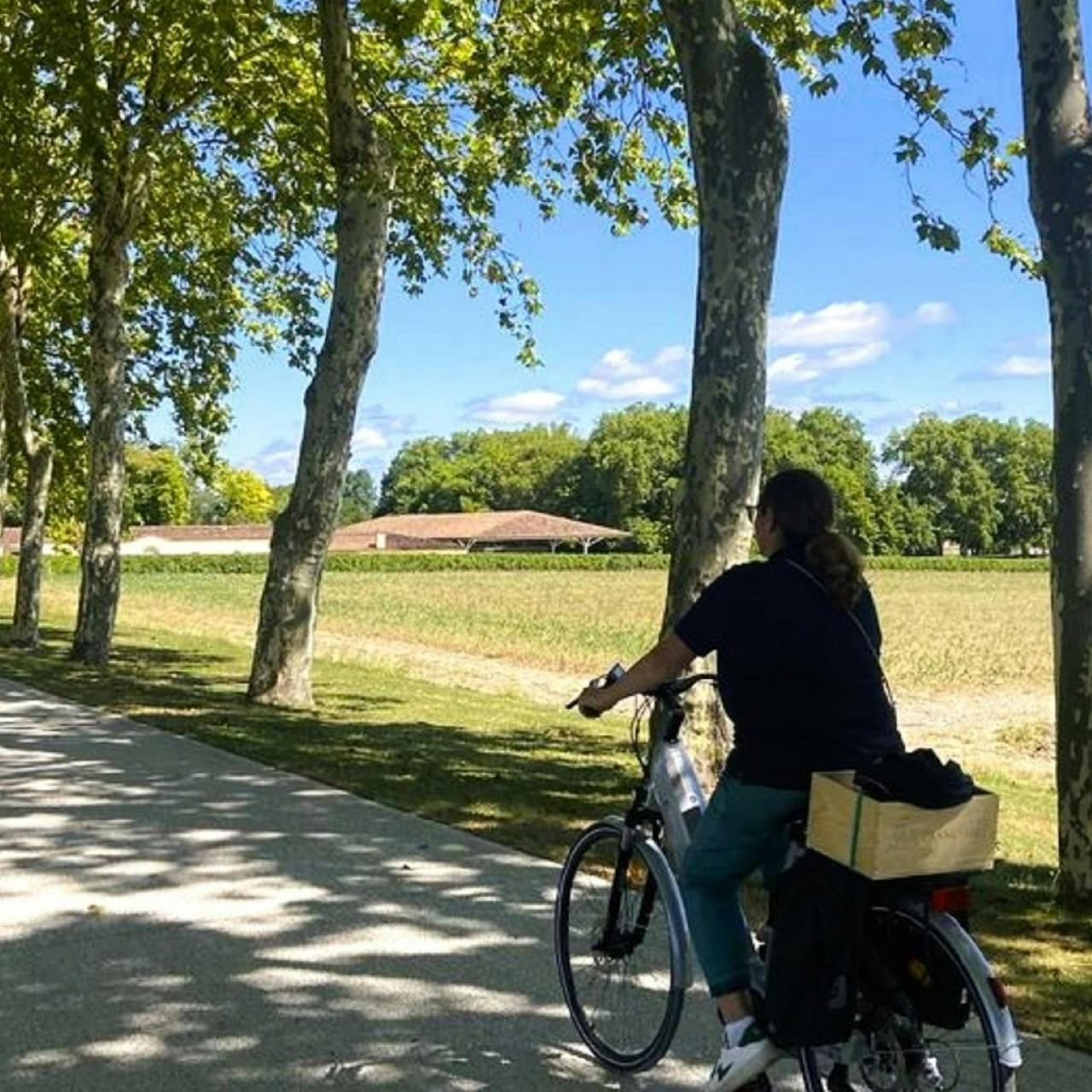 Passeio de vinho e bicicleta a Saint-Emilion
