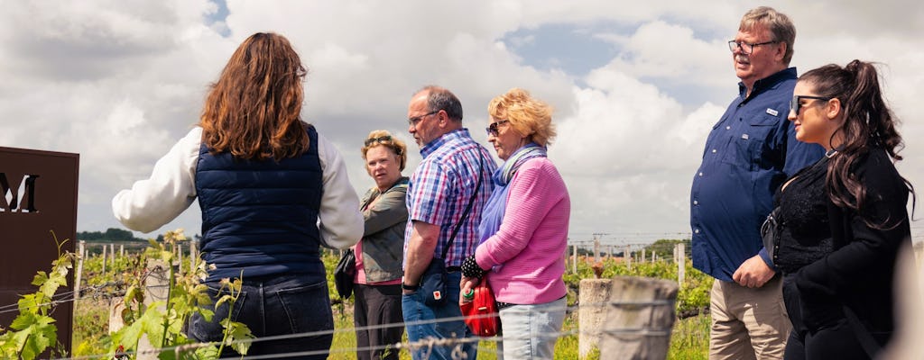 Médoc and Saint-Emilion wine tour