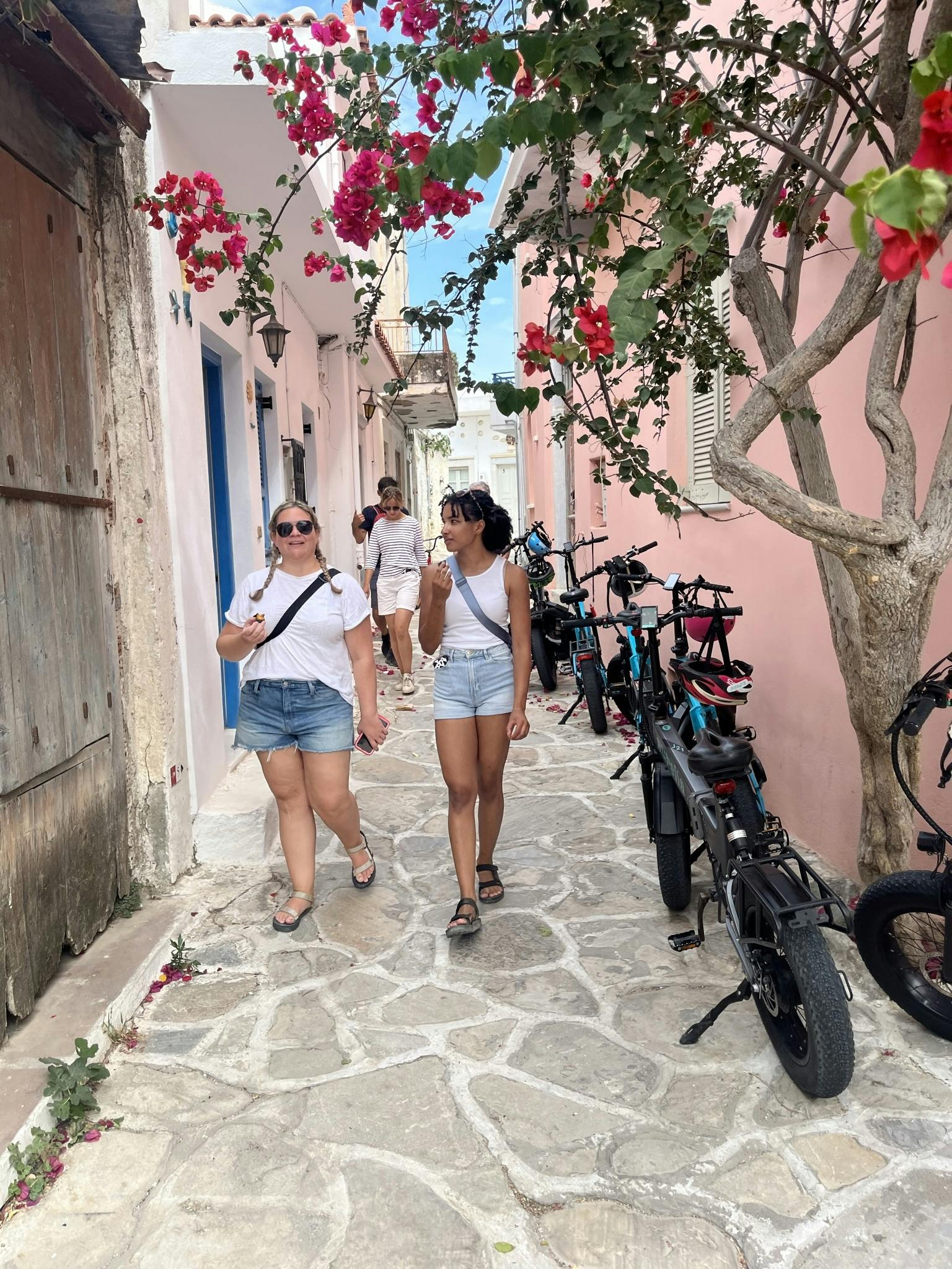 Naxos Inland Methexis E-Bike mit optionaler privater oder gemeinsamer Tour