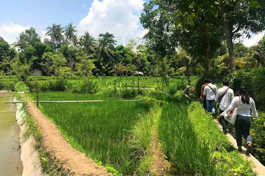 Experiencia en la campiña de Lombok desde Lombok